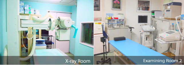 X-ray Room・Examining Room 2 