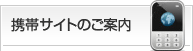 �g�уT�C�g�̂��ē�